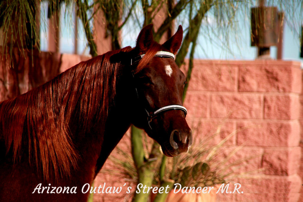 Arizona Outlaw´s Street Dancer M.R._08 copy