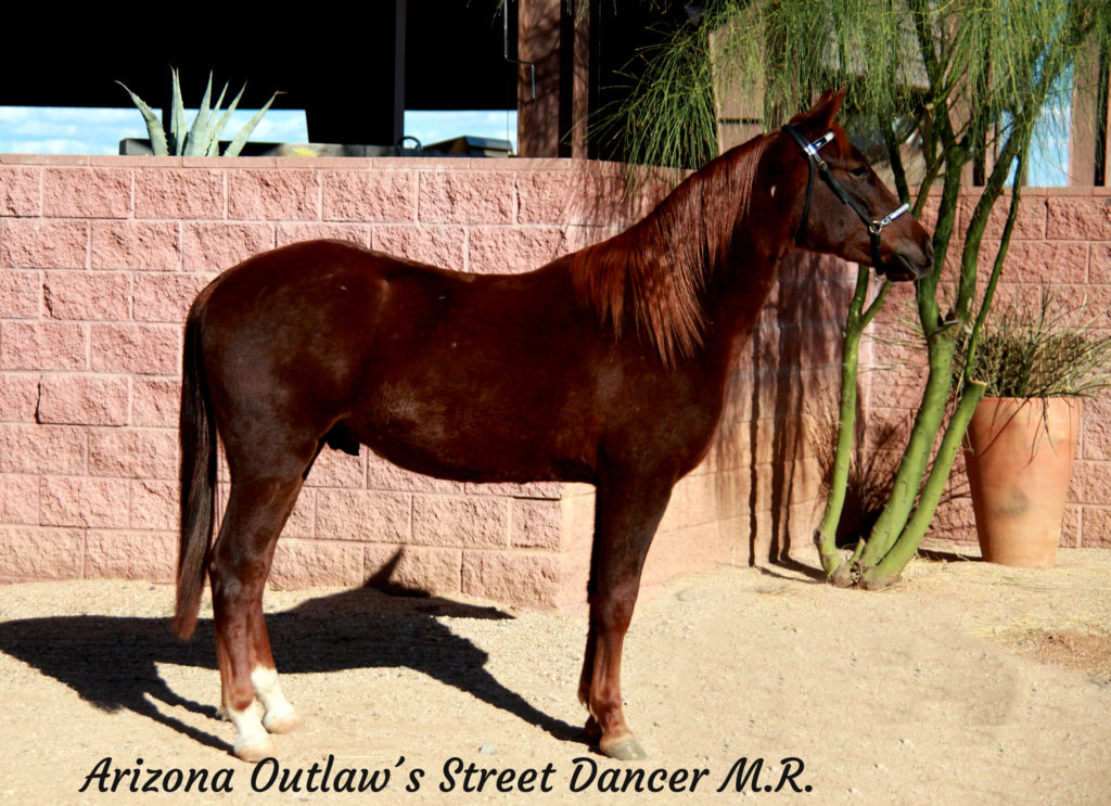 Arizona Outlaw´s Street Dancer M.R._13 copy